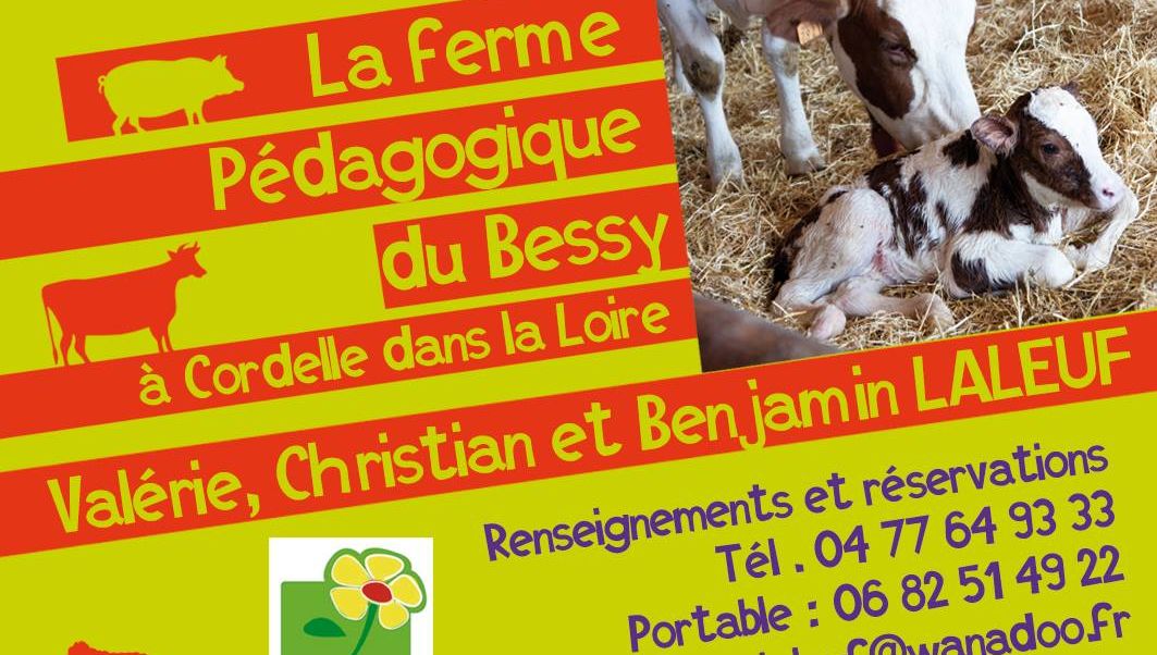 La Ferme Pedagogique Du Bessy A Cordelle La Ferme Pedagogique Du Bessy A Cordelle