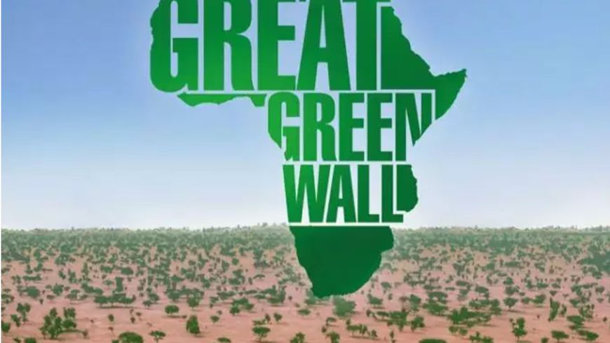 L’affiche du film documentaire de Jared J. Scoot, « The Great Green Wall », sorti en salle le 22 juin 2020. The Great Green Wall