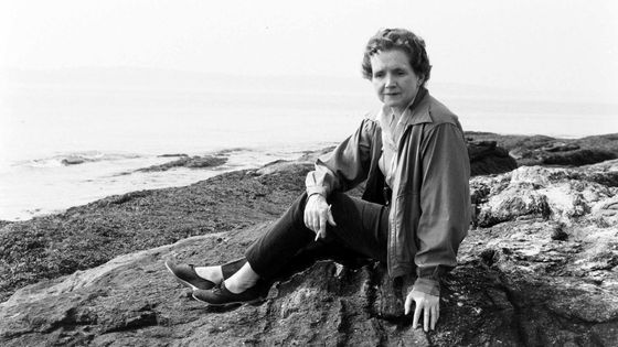 Rachel Carson au bord de l'Océan ©Getty - Alfred Eisenstaedt