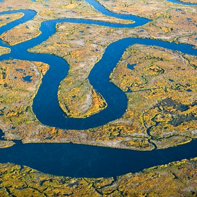 USA, Maine, Wells, Rachel Carson Wildlife Sanctuary