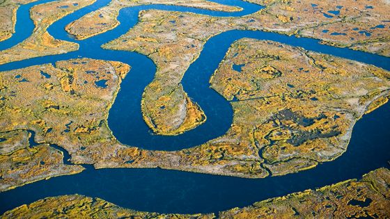 USA, Maine, Wells, Rachel Carson Wildlife Sanctuary ©Getty - Joe Sohm