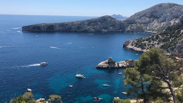 Deconfinement Le Parc Des Calanques Rouvre Mais Il Ne Faut Pas Stresser Les Animaux
