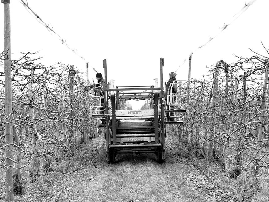 Les vergers de Gargouil à Charroux