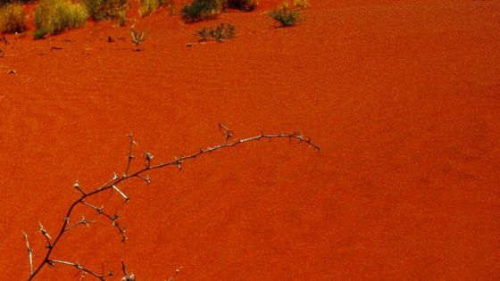 Sable rouge en Australie ©Getty - Photo by Harald Lange/ullstein bild via Getty Images