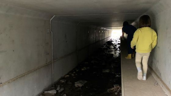 Tunnel en béton sous la voie ferrée, très certainement pour prévenir d’éventuels affaissements de terrain. - Aurélien Bellanger