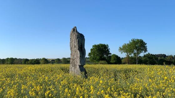 Un dolmen en terres mayennaises - Aurélien Bellanger