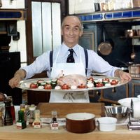 Louis de Funès, dans "L'Aile ou la Cuisse", en 1976.