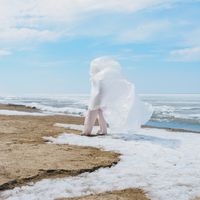 Les éléments du vivant