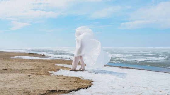 Les éléments du vivant ©Getty - Anna Shvets