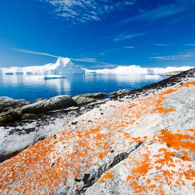 Icebergs du glacier Jacobshavn ou Sermeq Kujalleq (les plus importants du Groenland). ils ont reculé de 40 km depuis 1850 en raison du changement climatique (augmentation de la température).