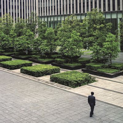 Shingawa, quartier de Tokyo (Japon, 2010)