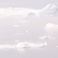 Icebergs en Antarctique