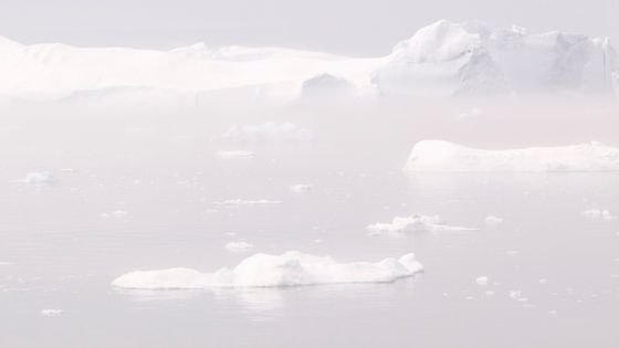 Icebergs en Antarctique ©Getty - Photo by Ashley Cooper/Construction Photography/Avalon/Getty Images