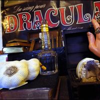 Le musée des vampires à Paris, ici en 2005, vient de rouvrir à proximité du cimetière du Père-Lachaise.