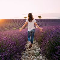 Marcher la vie : sur les sentiers du bonheur avec le sociologue David Le Breton