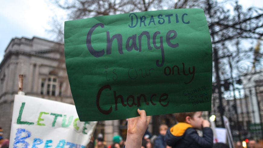 Une manifestation en faveur de la lutte contre le réchauffement climatique, en janvier dernier à Dublin