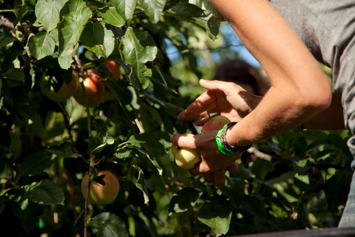La Ferme Bio Margerie