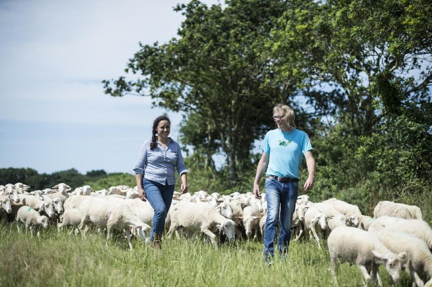 Succès sur les marchés et pour la Bergerie des Abers de Plouvien