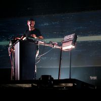 Molécule : "Je cherche des endroits où la nature est dominante". Ici aux Transmusicales de 2016