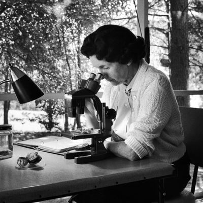 Rachel Carson fine observatrice avec sa loupe binoculaire