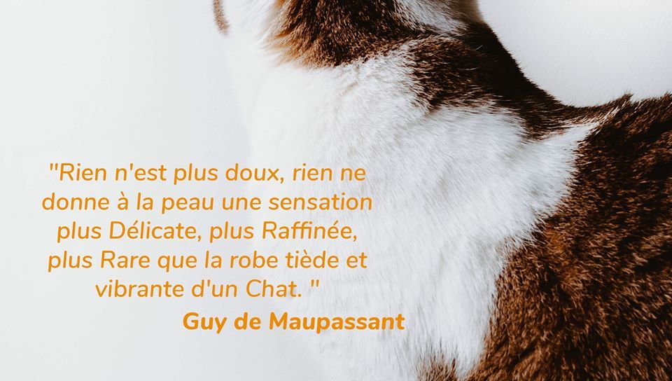 La Relance Eco L Animalerie En Ligne Zoomalia Basee A Saint Geours De Maremne