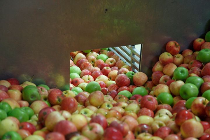 La Ferme Bio Margerie