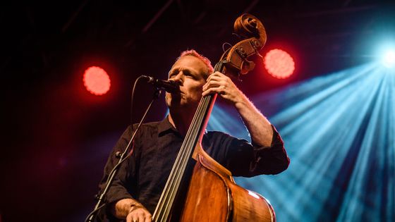 Avishai Cohen, contrebassiste de jazz israélien ©Getty - Stefan Hoederath / Redferns