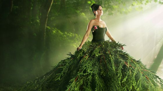 En robe de sapin ©Getty - Paper Boat Creative