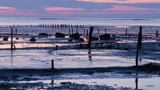 Passage du Gois ©Getty - Jacques Loic