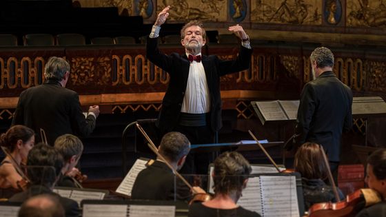 Le cléveciniste et chef d'orchestre Christophe Rousset - Eric Larrayadieu