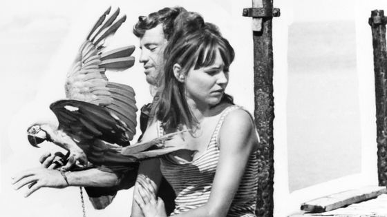 Anna Karina et Jean Paul Belmondo dans le film Pierrot Le Fou. 1965 ©Getty - Keystone-France