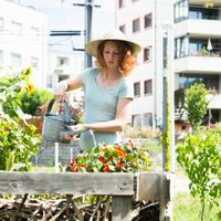 Potager, ferme verticale, basse-cour urbaine… La ville peut-elle devenir un champ ?