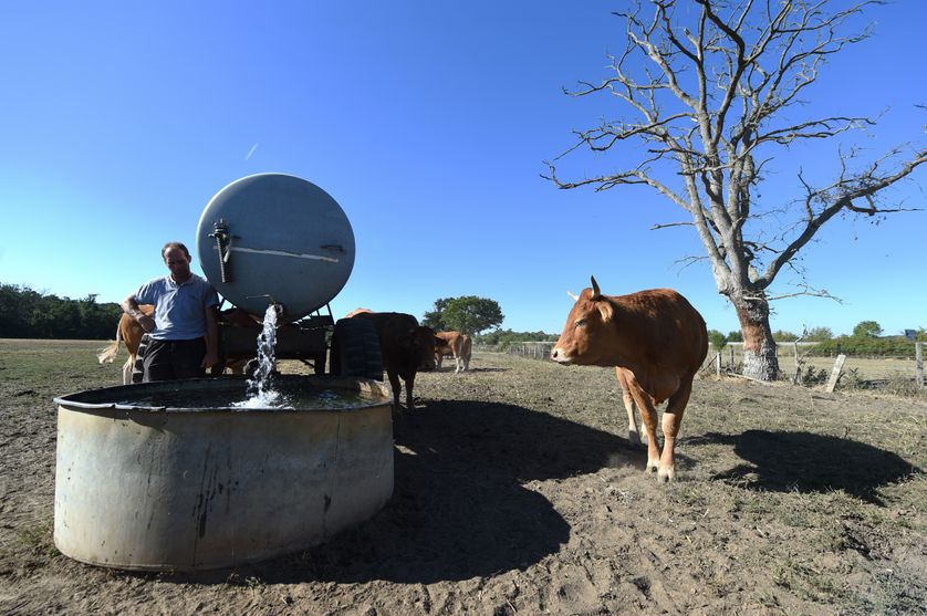Les éleveurs et agriculteurs s'organisent face aux phénomènes de sécheresse depuis le début de l'été