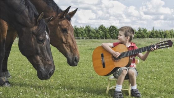 Deux chevaux, dans un champs, intrigués par un petit garçon et sa guitare ©Getty - Barry Crossley / EyeEm
