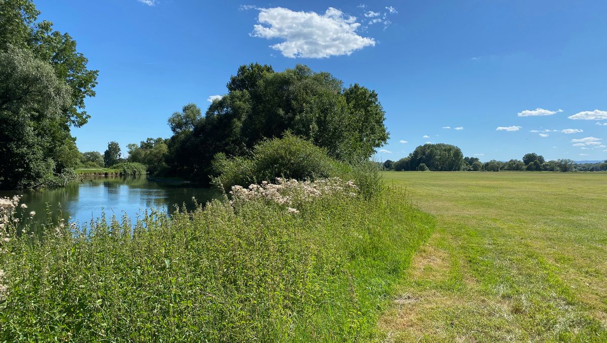 rivière d auvergne en 4 lettres