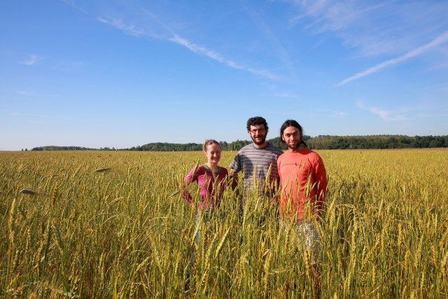 Nicolas, Clément et Marion d'"Il était une ferme"