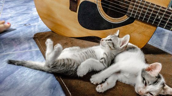 Musique connectée du 25 septembre 2020 ©Getty - Nay Sayya Xinthr Me Ri / EyeEm