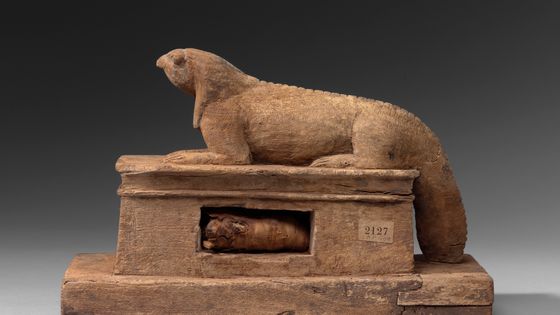 Figurine de crocodile à tête de faucon couché sur un naos avec momie, Egypte ancienne, Paris, musée du Louvre. - © Musée du Louvre-Hervé Lewandowski