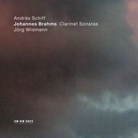 Sonate pour clarinette et piano en Si bémol Maj op 120 n°2 : 1. Allegro amabile