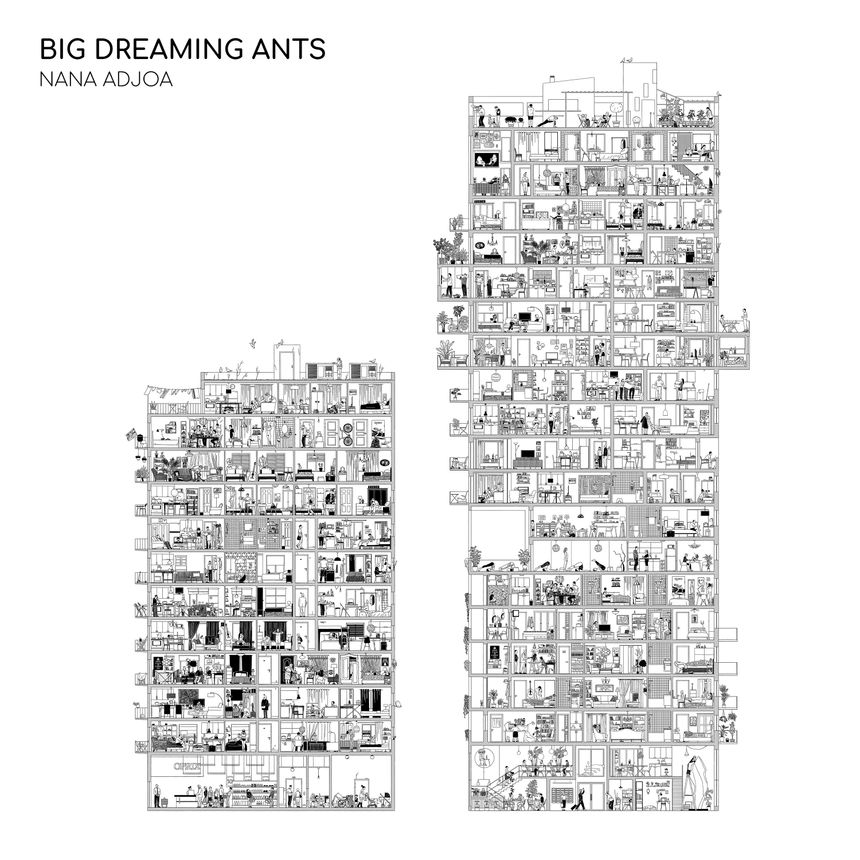 Big Dreaming Ants - Nana Adjoa