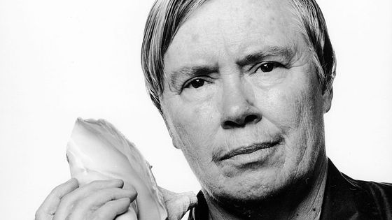 Photo de Pauline Oliveros par Jack Mitchell (1995) - Jack Mitchell/Getty Images