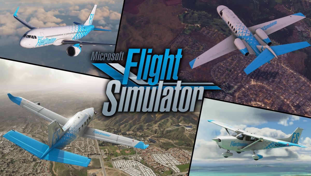 avion simulator