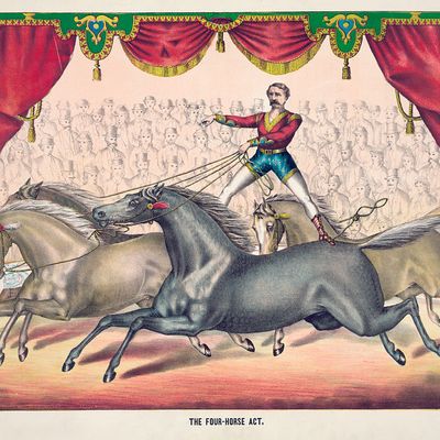 L'écuyer aux quatre chevaux, lithographie (circa 1894)