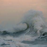 Comment prendre en charge la vague de conséquences psychologiques qui touche la population française ?