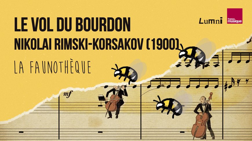 La Faunothèque : Le Vol du Bourdon de Rimski-Korsakov