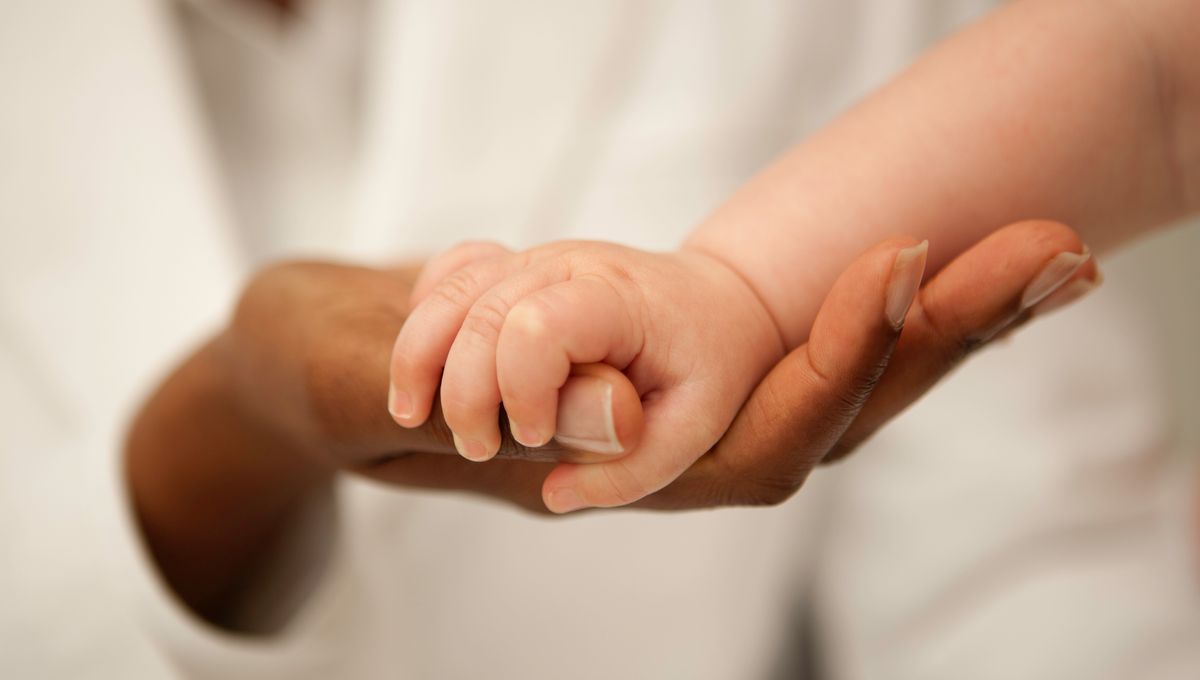 La Sagesse Des Bebes