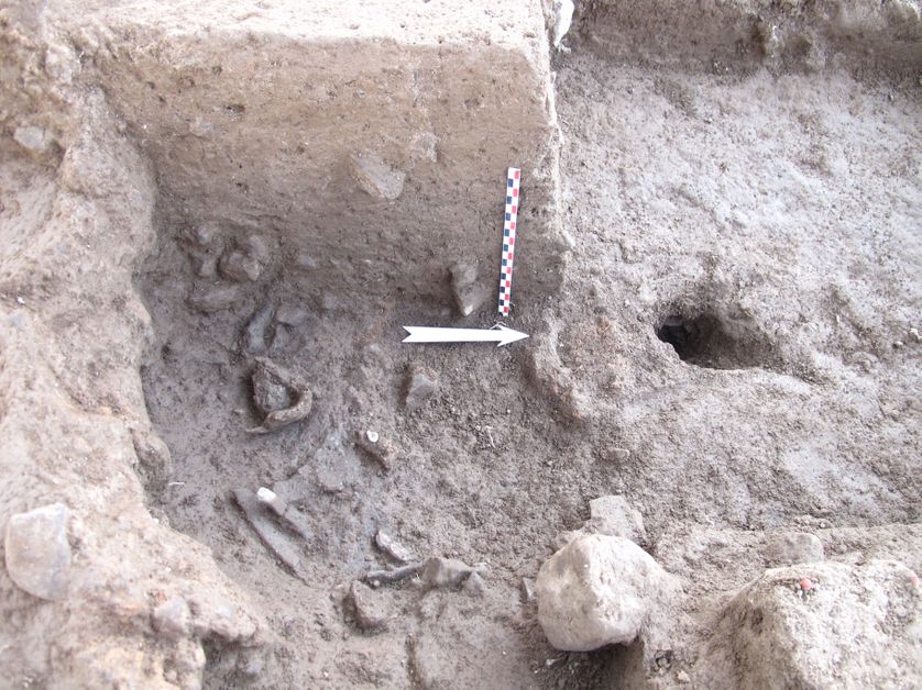 Secteur du site de fouilles où ont été retrouvés des sédiments de cendres (Beisamoun)