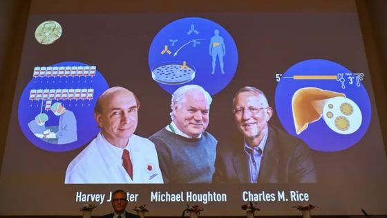A l'Institut Karolinska de Stockholm, ce lundi 5 octobre 2020, un écran affichant les lauréats du prix Nobel 2020 de médecine : l'Américain Harvey Alter, le Britannique Michael Houghton et l'Américain Charles Rice. ©AFP - Jonathan Nackstrand