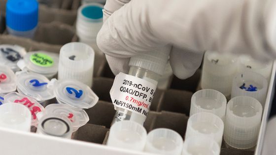Qui gagnera la course au vaccin ? ©AFP - ANDREW CABALLERO-REYNOLDS