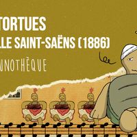 La Faunothèque : Les tortues de Camille Saint-Saens